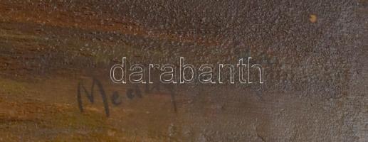 Mednyánszky jelzéssel: Erdei fények. Olaj, vászon, restaurált. 59×79 cm