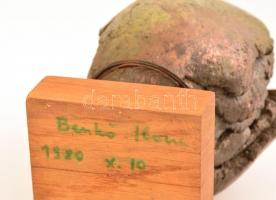 Benkő Ilona (1937-): Plasztika. Samott kerámia, fa talapzat alján jelzett és datált (Benkő 1980.X.10...