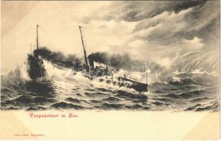 Torpedoboot in See / K.u.K. Kriegsmarine torpedo boat. Alois Beer
