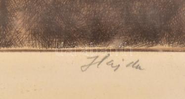 Hajdú Katalin (1932-): Ciklámen. Színes rézkarc, papír, lap alja kissé foltos, üvegezett fa keretben...