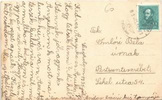 1935 Szeghalom, búzamező, gémes kút. photo