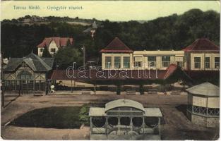 1913 Tarcsafürdő, Bad Tatzmannsdorf; gyógytér / Kurpark / spa park