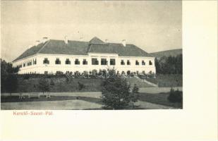 Kerelőszentpál, Sanpaul; Haller kastély. Taussig A. 9610. / castle