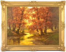 Méray Gyula: Őszi erdő. Olaj, vászon. Jelzett. Díszes fa keretben. 60x80 cm