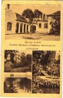 Szob, Budapest székesfőváros közkórházainak üdülőtelepe, magyar zászló. Csurgay András kiadása (r)