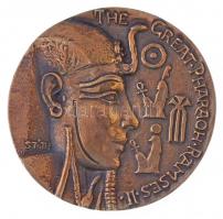Tóth Sándor (1933-) 1987. The Great Pharaoh Ramses II egyoldalas, öntött Br plakett, eredeti dombornyomott bőr tokban, angol nyelvű leírással (106mm) T:1