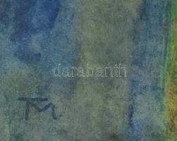 TM jelzéssel: Portré. Vegyes technika, karton. Kopott, üvegezett fa keretben, 39x29 cm