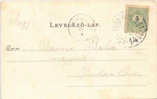 Budapest XI. Kamara-Erdő, Kamaraerdő; Józsa lak, erdő, Villa Mártha, Vendéglő, étterem, Ludwig Höhe ...