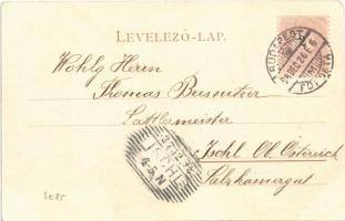 1898 Budapest VI. Teréz körút, lovaskocsik, Deményi és Angyal kerékpár iskola üzlete, Cseléd Intézet...