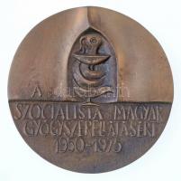 Ligeti Erika (1934-2004) 1975. A Szocialista Magyar Gyógyszerellátásért 1950-1975 kétoldalas Br plakett (97mm) T:1-,2
