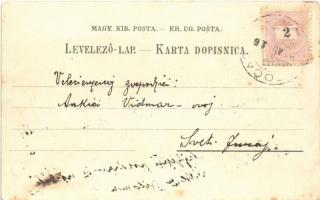 Otocsán, Otocac; Svica / waterfall, general view. Art Nouveau, floral, litho (fl)