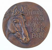 Tóth Béla (1941-) DN Széchenyi István lovas emlékérem Br emlékérem (100mm) T:1-