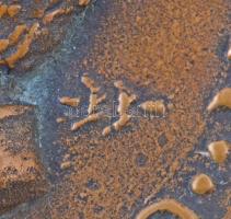 Búza Barna (1910-2010) DN "Széchenyi István 1791-1860 / Környezeti kultúránkért - Hazafias Népf...