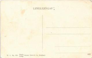 Szeghegy, Sekic, Lovcenac; Szeghegyi mezőgazdasági gőzmalom. W. L. Bp. 623. Kiadja Becker Dávid &...