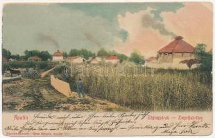 1905 Apatin, Téglagyárak. Gasz Mátyás kiadása / Ziegelfabriken / brickyard, brick factory (ázott / wet damage)