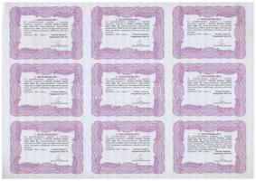 Budapest 1990. "Chinoin" kitöltetlen, névre szóló részvény 10.000Ft-ról szárazpecséttel, s...