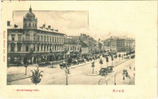 Arad, Andrássy tér, Czigelbrier Győző, Schwarz M. és Steinitz üzlete, lovaskocsik / square, shops, horse carts