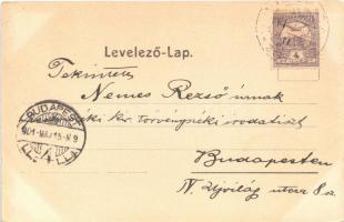 1901 Hódság, Odzaci; Rausch Ede üzlete és saját kiadása / shop of Ede Rausch (EK)