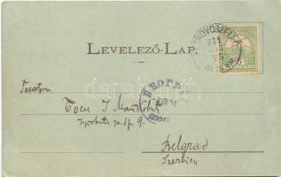 1901 Péterréve, Bács-Petrovoszelló, Backo Petrovo Selo; Fő utca. Benacsek Mihály kiadása / main stre...