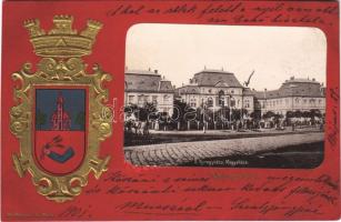 1901 Nyíregyháza, megyeháza. Hoffmann B. Béla kiadása, Címeres Art Nouveau, Emb. (EB)