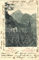 Tátra, Vysoké Tatry; Nagy-Tarpataki völgy / Gross Kohlbacher Thal / valley. Divald Károly 330. (Rb)