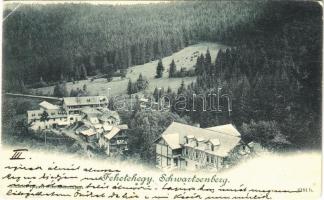 1900 Feketehegy, Cernohorské kúpele, Schwartzenberg (Merény, Vondrisel, Nálepkovo); nyaralók / villas (EK)