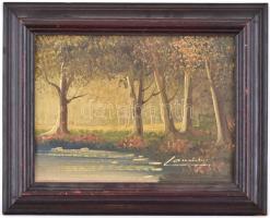 Launily jelzéssel: Őszi táj. Olaj, vászon. 18x23 cm Keretben