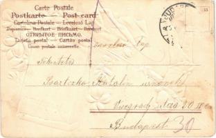 1905 Januárius 1. Boldog Újévet! / New Year greeting Emb. litho art postcard with street sweeper