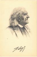 Franz Liszt, Hungarian composer. Stengel art postcard (EK)