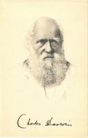 Charles Darwin, English naturalist, geologist and biologist. Stengel art postcard