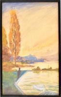 Jelzés nélkül: Balaton part. Akvarell, papír. Üvegezett keretben. 41x26 cm