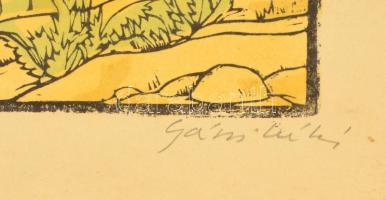 Gácsi Mihály (1926-1987): A kulipintyó. Színes linó, papír, jelzett, üvegezett keretben, 34×50 cm