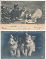 10 db RÉGI motívum képeslap: macska (litho, fotó, grafikai) / 10 pre-1945 art motive postcards: cats (litho, photo and graphic)