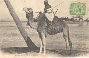 1905 Mehari monté par un Targui / Algerian folklore, camel rider. TCV card (EK)