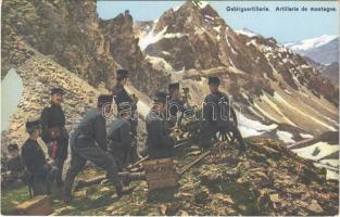 Gebirgsartillerie. Grenzbesetzung 1914 / Artillerie de montagne. Occupation des frontieres / WWI Swiss military, mountain artillery. E. Goetz Kunstanstalt