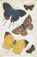 Butterflies and moths. Raphael Tuck & Sons Aquarette Postcard No. 9219. (worn corners)