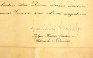 1941 Pécsi Erszébet királyné Tudományegyetem Jogi doktori oklevél függő viaszpecséttel 50x70 cm