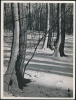 cca 1935 Kinszki Imre (1901-1945) budapesti fotóművész hagyatékából, pecséttel jelzett vintage fotóművészeti alkotás (Tél az erdőben), 24x18 cm