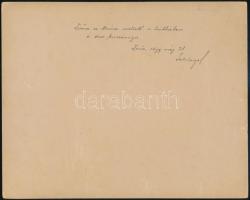 1899 Foča a látképe (Bosznia-Hercegovina.), mellette a kanyargó Drinával, háttéreben a déli kaszárny...