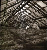 cca 1965 Kotnyek Antal (1921-1990) budapesti fotóriporter hagyatékából 13 db vintage NEGATÍV, különb...