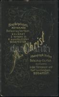 cca 1879 Budapest, M. Christ fényképészeti műtermében készült, keményhátú vintage fotó, vizitkártya ...