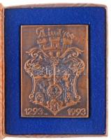 Románia 1993. Nagyenyed 700 éves Br plakett eredeti tokban (59x80mm) T:1- Romania 1993. 700th anniversary of Aiud Br plaque in original case (59x80mm) C:AU