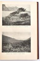 [Agostini, Alberto Maria de (1883-1960)] Alberto M. De Agostini: Tíz esztendő a Tűzföldön. Fordított...