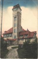 1918 Karlovy Vary, Karlsbad; Aberg Café and Restaurant (EB)