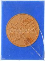 Japán 1999. "Pokémon 2000 - Bízz az erőben" aranyozott Br érem eredeti, sérült tokban (49m...