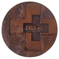 Asszonyi Tamás (1942-) 1981. "1881-1981 / 100 éves a Magyar Vöröskereszt" Br emlékplakett ...