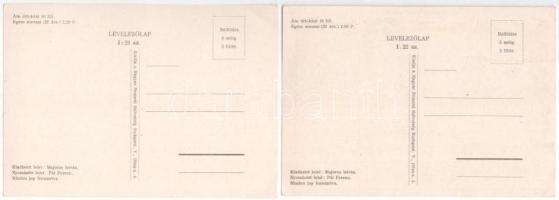 A Magyar Sors - bajtársi levelezés I. sz. (hadtörténeti) sorozata. Szerk. Kuthy Ferenc. 22 darabos k...