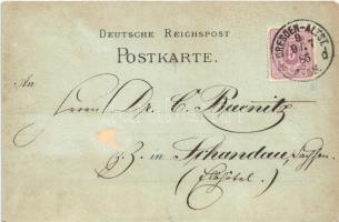 1885 (Vorläufer!) Dresden. Gruss aus... J. Miesler No. 650. Art Nouveau litho (Rb)