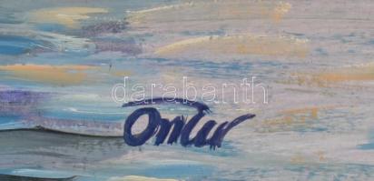 Oszter Dezső (1955-): Dalmát tengerpart. Olaj, farost, jelzett, keretben, 60x80 cm Keretben