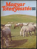 Pál János-Várady Jenő: Magyar lótenyésztés. 1945-1980. Bp.,én., IPV. Kiadói papírkötés, foltos, dohos.